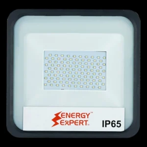 100W LED Flood Light